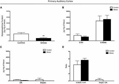 Reboxetine Improves Auditory Attention and Increases Norepinephrine Levels in the Auditory Cortex of Chronically Stressed Rats